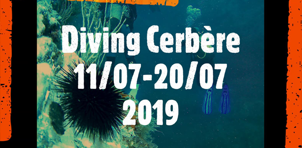 2019 Cerbere NL