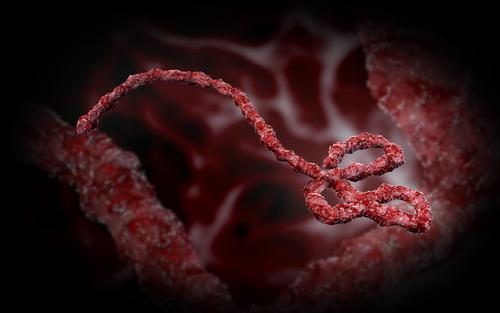 3d-ebola-virus